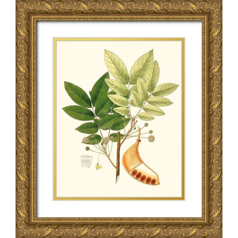 Spring Green Foliage IX Gold Ornate Wood Framed Art Print with Double Matting by Unknown