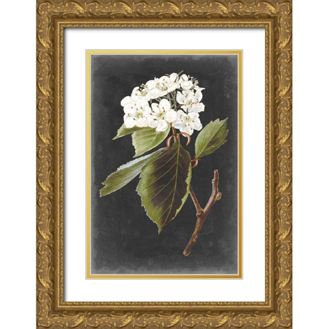 Dramatic White Flowers I Gold Ornate Wood Framed Art Print with Double Matting by Vision Studio