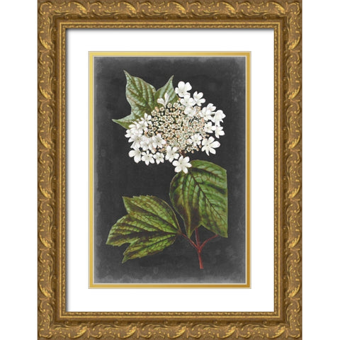 Dramatic White Flowers III Gold Ornate Wood Framed Art Print with Double Matting by Vision Studio