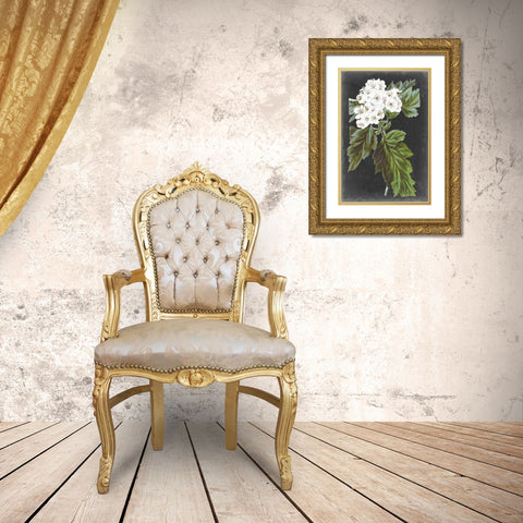 Dramatic White Flowers IV Gold Ornate Wood Framed Art Print with Double Matting by Vision Studio