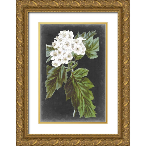 Dramatic White Flowers IV Gold Ornate Wood Framed Art Print with Double Matting by Vision Studio