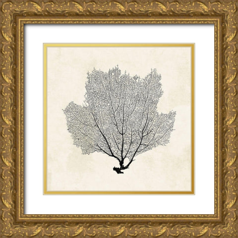 Sea Fan Sketch I Gold Ornate Wood Framed Art Print with Double Matting by Popp, Grace