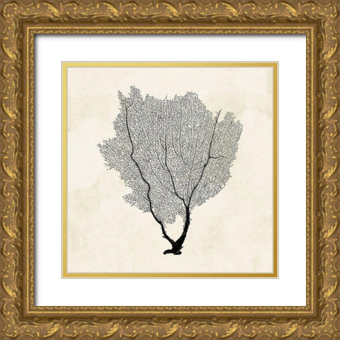 Sea Fan Sketch II Gold Ornate Wood Framed Art Print with Double Matting by Popp, Grace