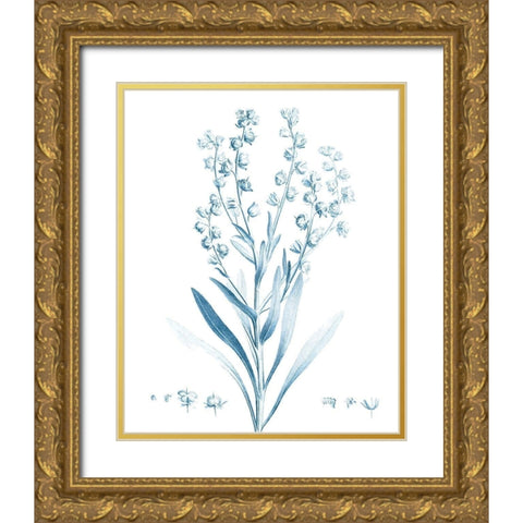 Antique Botanical in Blue I Gold Ornate Wood Framed Art Print with Double Matting by Vision Studio