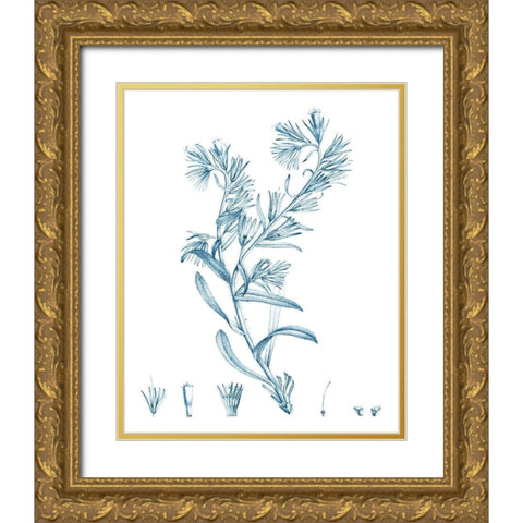 Antique Botanical in Blue II Gold Ornate Wood Framed Art Print with Double Matting by Vision Studio