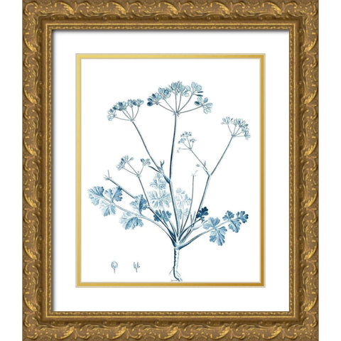 Antique Botanical in Blue IV Gold Ornate Wood Framed Art Print with Double Matting by Vision Studio