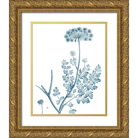 Antique Botanical in Blue V Gold Ornate Wood Framed Art Print with Double Matting by Vision Studio