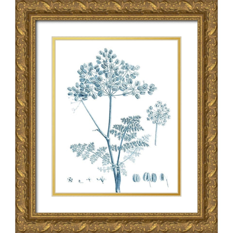 Antique Botanical in Blue VI Gold Ornate Wood Framed Art Print with Double Matting by Vision Studio