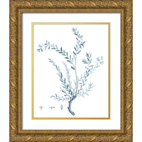 Antique Botanical in Blue VII Gold Ornate Wood Framed Art Print with Double Matting by Vision Studio