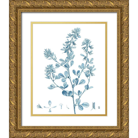 Antique Botanical in Blue VIII Gold Ornate Wood Framed Art Print with Double Matting by Vision Studio
