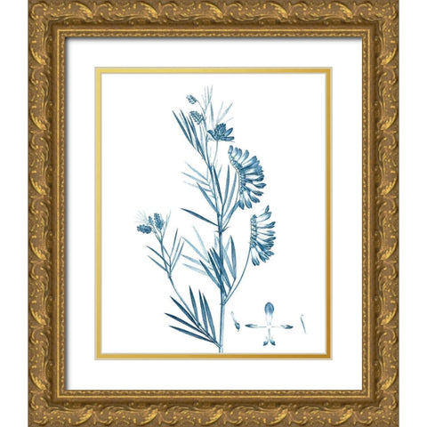 Antique Botanical in Blue IX Gold Ornate Wood Framed Art Print with Double Matting by Vision Studio