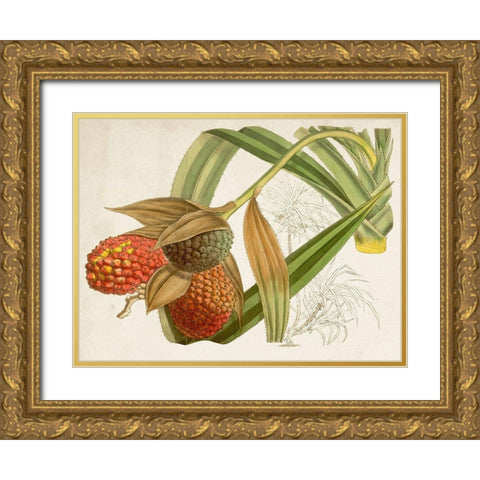 Tropical Foliage and Fruit III Gold Ornate Wood Framed Art Print with Double Matting by Curtis