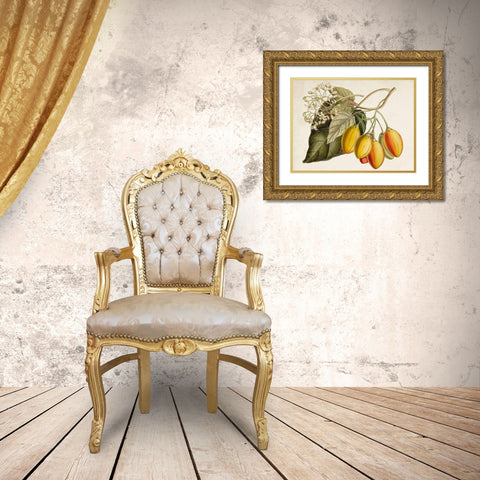 Tropical Foliage and Fruit IV Gold Ornate Wood Framed Art Print with Double Matting by Curtis