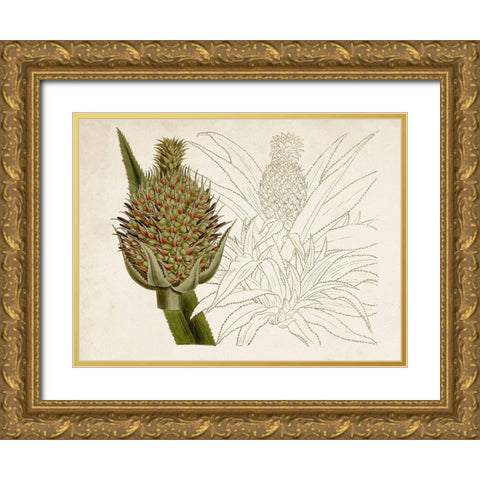 Tropical Foliage and Fruit VI Gold Ornate Wood Framed Art Print with Double Matting by Curtis