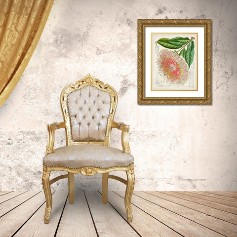 Delicate Tropicals IV Gold Ornate Wood Framed Art Print with Double Matting by Curtis