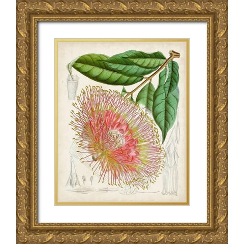 Delicate Tropicals IV Gold Ornate Wood Framed Art Print with Double Matting by Curtis