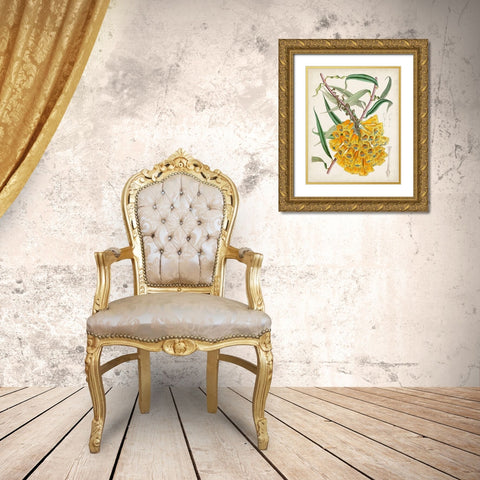 Delicate Tropicals VI Gold Ornate Wood Framed Art Print with Double Matting by Curtis