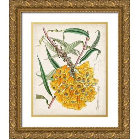Delicate Tropicals VI Gold Ornate Wood Framed Art Print with Double Matting by Curtis