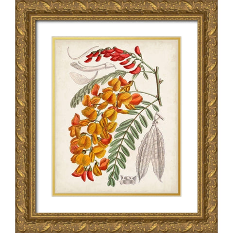 Delicate Tropicals IX Gold Ornate Wood Framed Art Print with Double Matting by Curtis