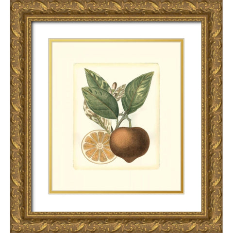 French Orange Study I Gold Ornate Wood Framed Art Print with Double Matting by Risso, A.