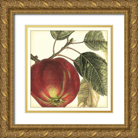 Graphic Apple Gold Ornate Wood Framed Art Print with Double Matting by Vision Studio