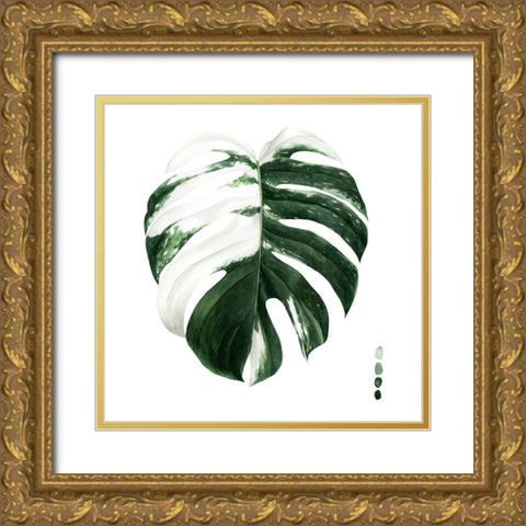 Variegated Monstera II Gold Ornate Wood Framed Art Print with Double Matting by Popp, Grace