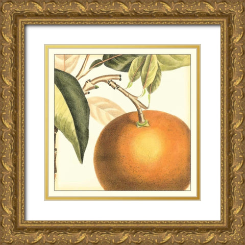 Graphic Orange Gold Ornate Wood Framed Art Print with Double Matting by Vision Studio