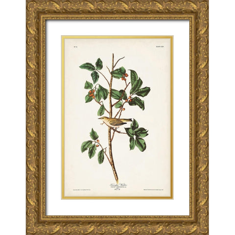 Pl. 154 Tennessee Warbler Gold Ornate Wood Framed Art Print with Double Matting by Audubon, John James