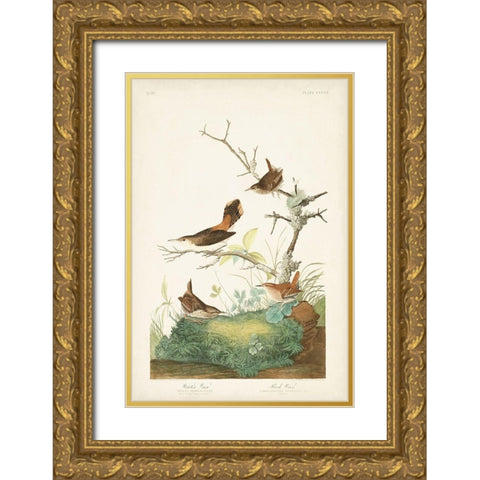 Pl. 360 Winter Wren Gold Ornate Wood Framed Art Print with Double Matting by Audubon, John James