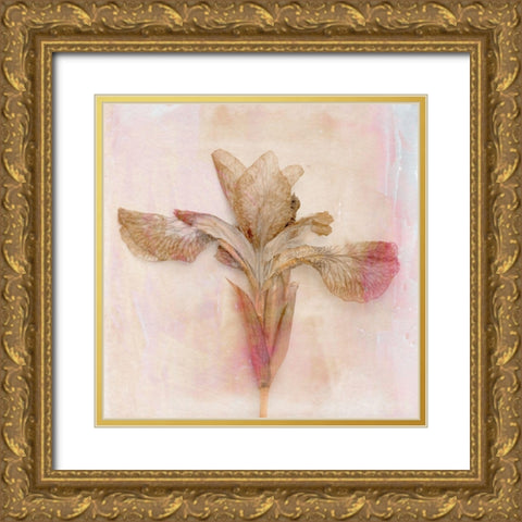 Remembered Flowers I Gold Ornate Wood Framed Art Print with Double Matting by Stalus, Judy