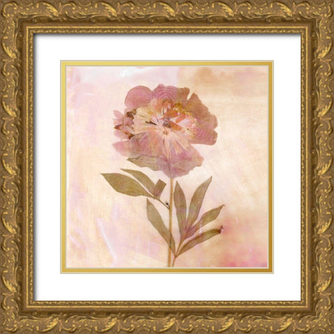 Remembered Flowers II Gold Ornate Wood Framed Art Print with Double Matting by Stalus, Judy