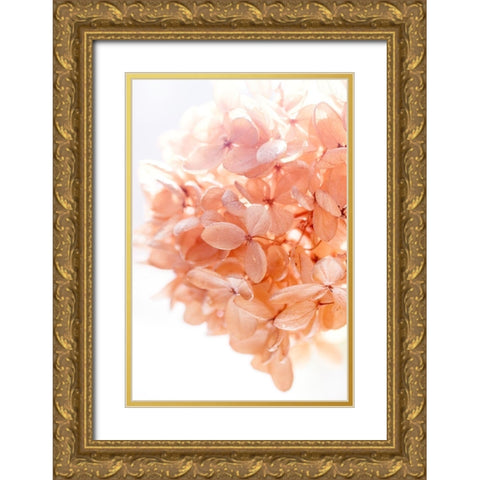 Sunny Morning I Gold Ornate Wood Framed Art Print with Double Matting by Stalus, Judy