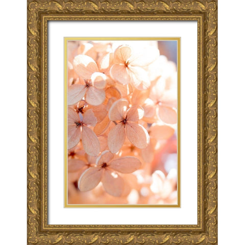 Sunny Morning III Gold Ornate Wood Framed Art Print with Double Matting by Stalus, Judy