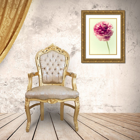 Lush Botanical II Gold Ornate Wood Framed Art Print with Double Matting by Stalus, Judy