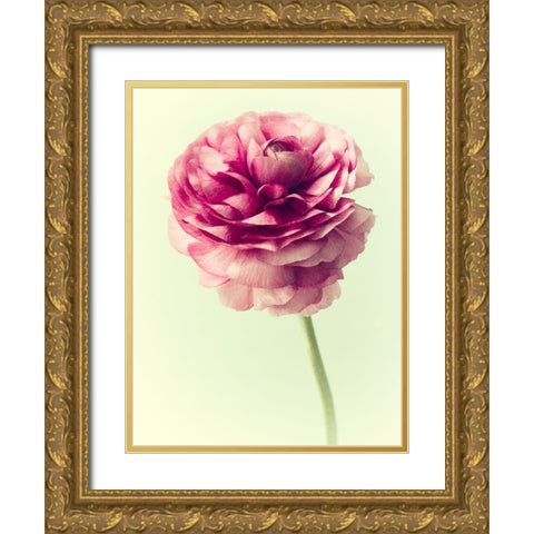Lush Botanical II Gold Ornate Wood Framed Art Print with Double Matting by Stalus, Judy