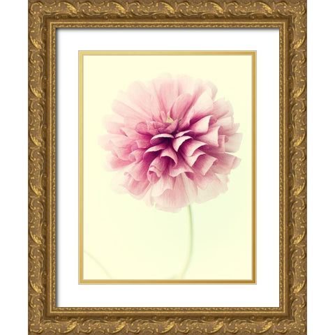 Lush Botanical III Gold Ornate Wood Framed Art Print with Double Matting by Stalus, Judy