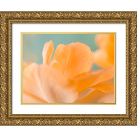 Double Vision I Gold Ornate Wood Framed Art Print with Double Matting by Stalus, Judy