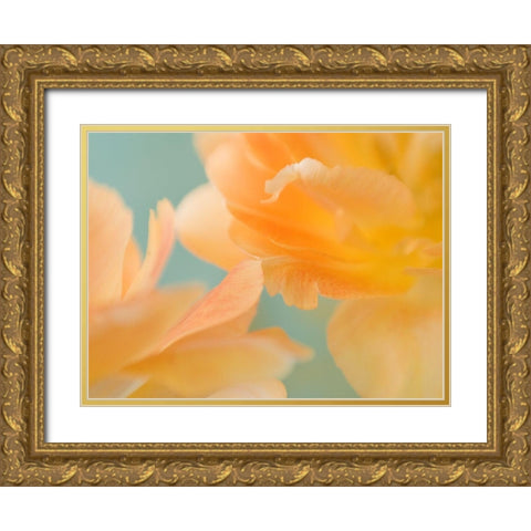Double Vision II Gold Ornate Wood Framed Art Print with Double Matting by Stalus, Judy