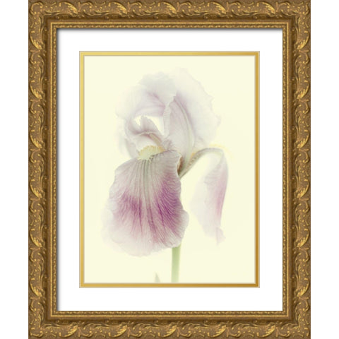 Flowers Aglow I Gold Ornate Wood Framed Art Print with Double Matting by Stalus, Judy