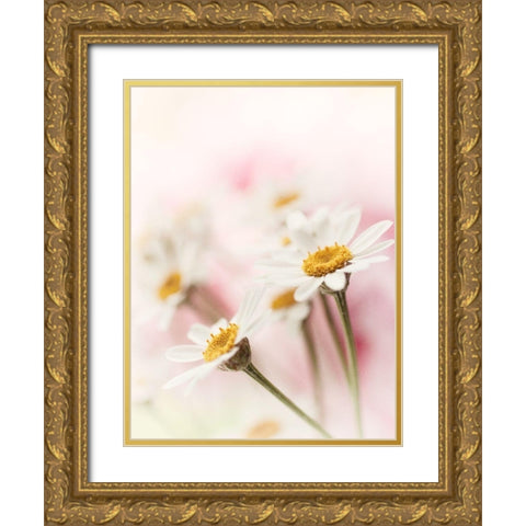 Flowers Aglow III Gold Ornate Wood Framed Art Print with Double Matting by Stalus, Judy