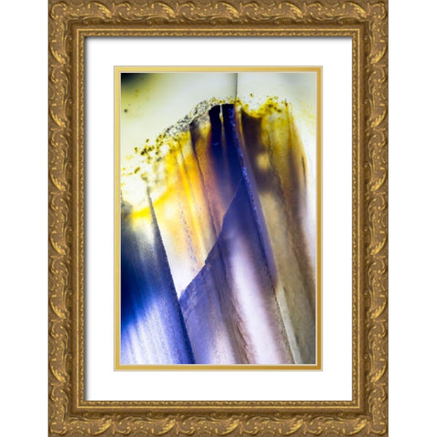 Subscape IV Gold Ornate Wood Framed Art Print with Double Matting by Hartson-Weddle, Ryan
