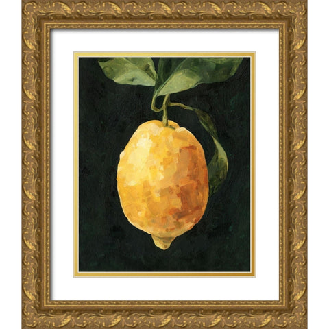 Dark Lemon I Gold Ornate Wood Framed Art Print with Double Matting by Caroline, Emma