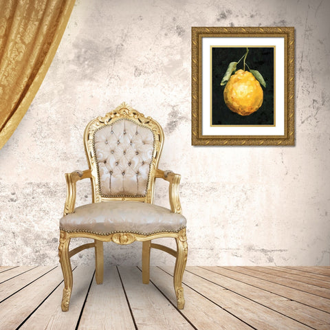 Dark Lemon II Gold Ornate Wood Framed Art Print with Double Matting by Caroline, Emma