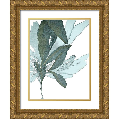 Seaside Seaweed I Gold Ornate Wood Framed Art Print with Double Matting by Vision Studio