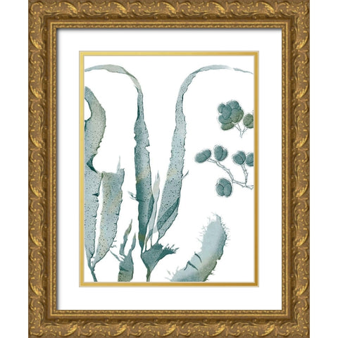 Seaside Seaweed III Gold Ornate Wood Framed Art Print with Double Matting by Vision Studio