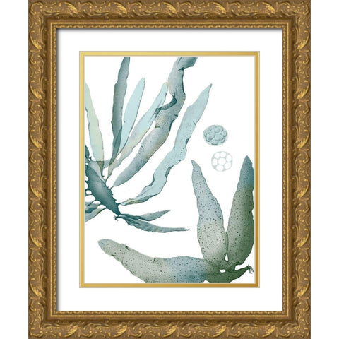 Seaside Seaweed IV Gold Ornate Wood Framed Art Print with Double Matting by Vision Studio