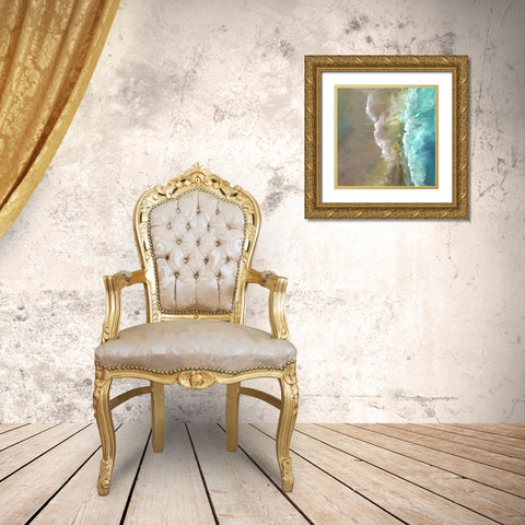 Aerial Coast III Gold Ornate Wood Framed Art Print with Double Matting by Finch, Sheila