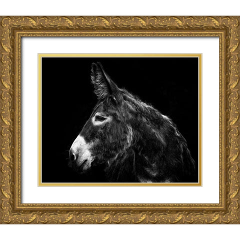 Donkey Portrait I Gold Ornate Wood Framed Art Print with Double Matting by PHBurchett