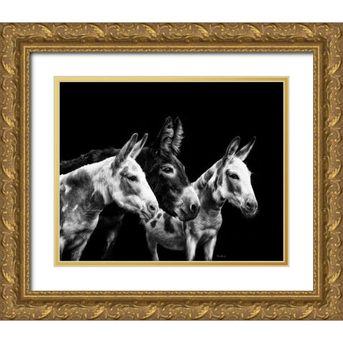 Donkey Portrait II Gold Ornate Wood Framed Art Print with Double Matting by PHBurchett