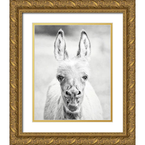 Donkey Portrait IV Gold Ornate Wood Framed Art Print with Double Matting by PHBurchett